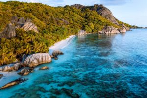 Seychelles seaweed beach
